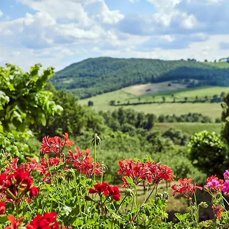 Farm stay Podere Lamberto